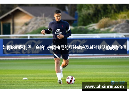 如何挖掘萨利巴、乌帕与楚阿梅尼的互补效应及其对球队的战略价值