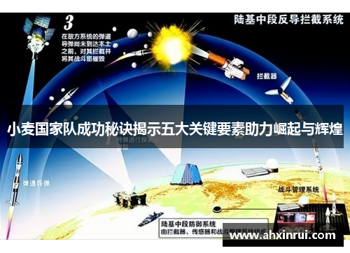 小麦国家队成功秘诀揭示五大关键要素助力崛起与辉煌