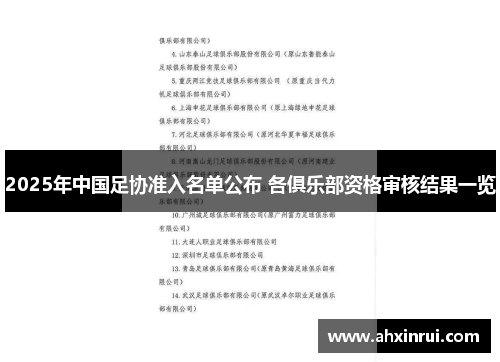 2025年中国足协准入名单公布 各俱乐部资格审核结果一览